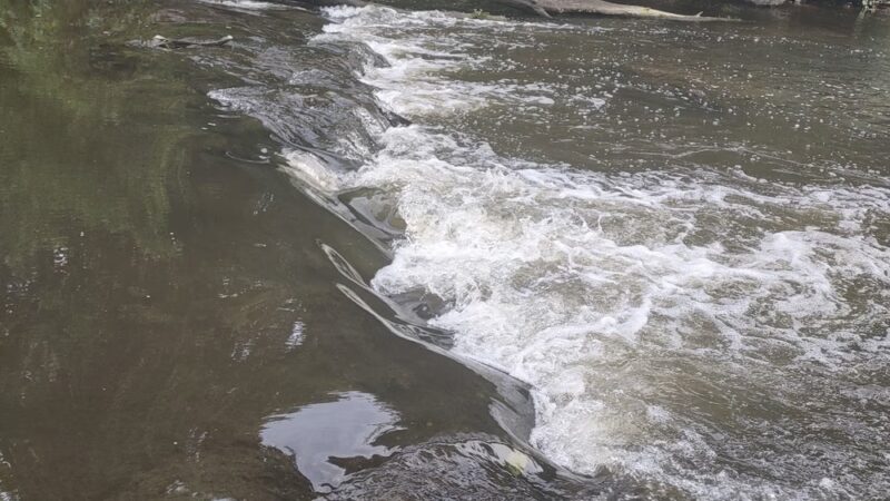 Plano City Park - Plano, IL