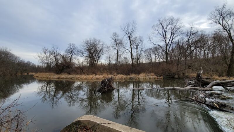 Steward Park - Plano, IL