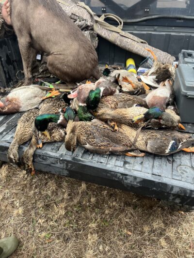 Central Alabama Fowl Preserve - Plantersville, AL