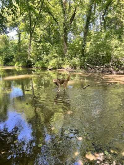Prairie Creek Greenway - Platte City, MO