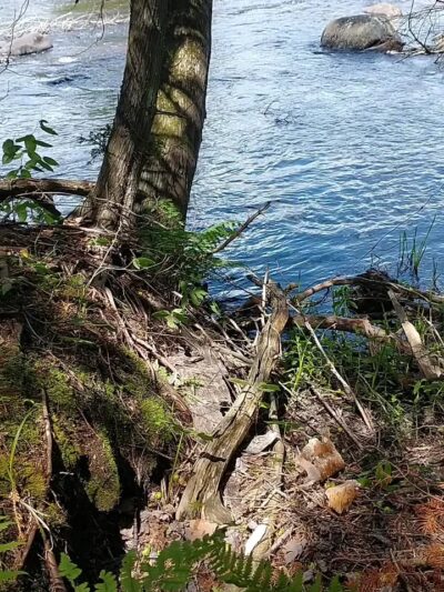 Saranac River Trail - Plattsburgh, NY