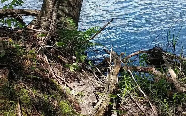 Saranac River Trail - Plattsburgh, NY