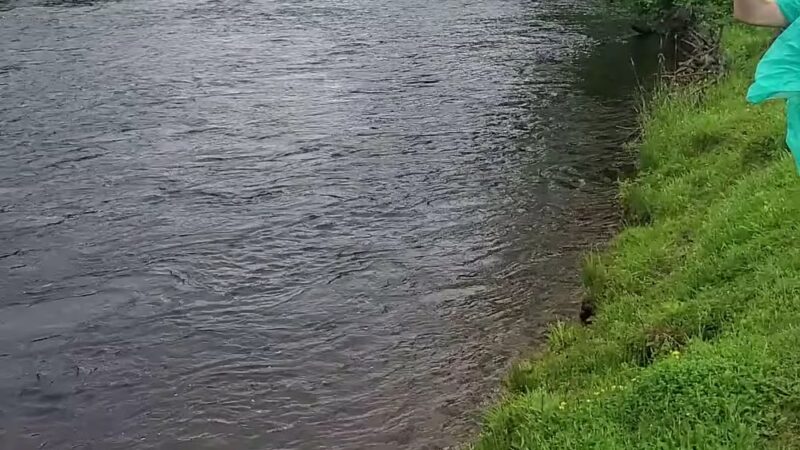 Saranac River Trail - Plattsburgh, NY