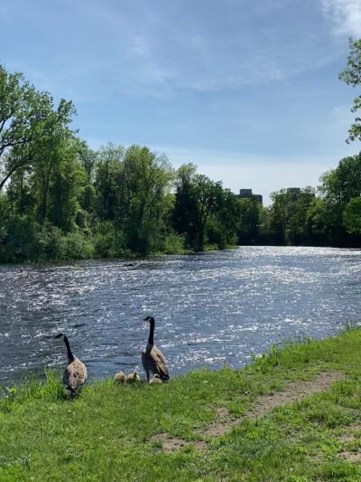 Saranac River Trail - Plattsburgh, NY