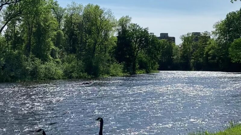 Saranac River Trail - Plattsburgh, NY
