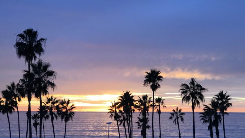 Playa Del Rey Beach - Playa Del Rey, CA