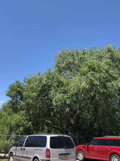 Anderson Park - Pleasant Grove, UT