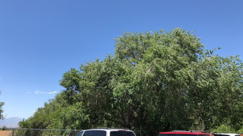 Anderson Park - Pleasant Grove, UT
