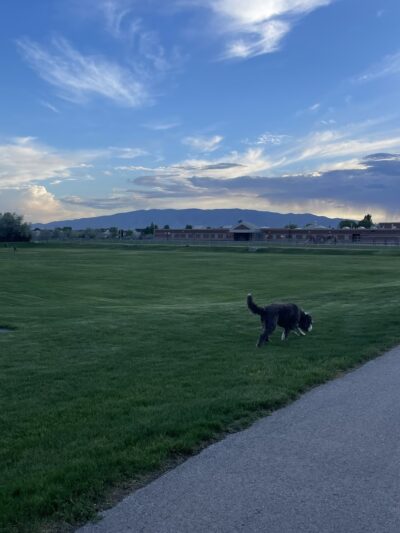 Mahogany Park - Pleasant Grove, UT