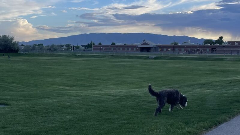 Mahogany Park - Pleasant Grove, UT