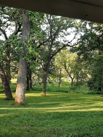 Doanes Park - Pleasant Hill, IA