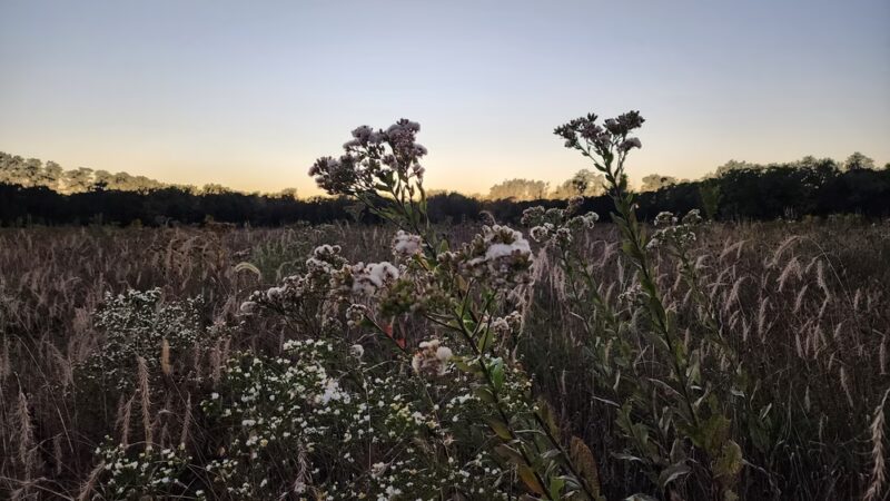Hickory Glen Park - Pleasant Hill, IA
