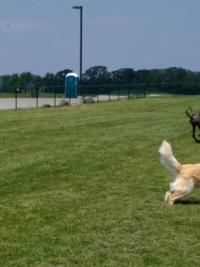 Ingram Park - Pleasant Prairie, WI