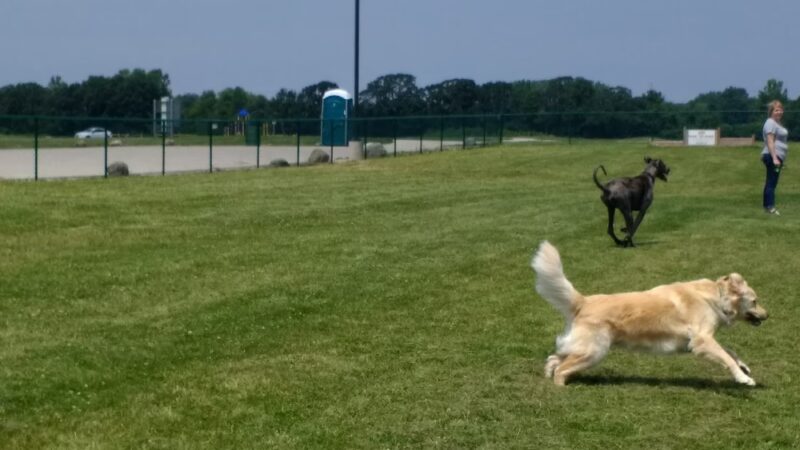 Ingram Park - Pleasant Prairie, WI