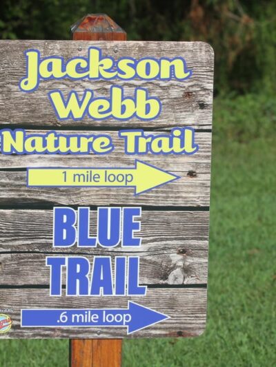 The Jackson Webb Nature Trail - Pleasant View, TN