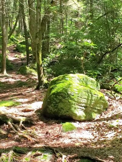 Buttermilk Falls - Plymouth, CT