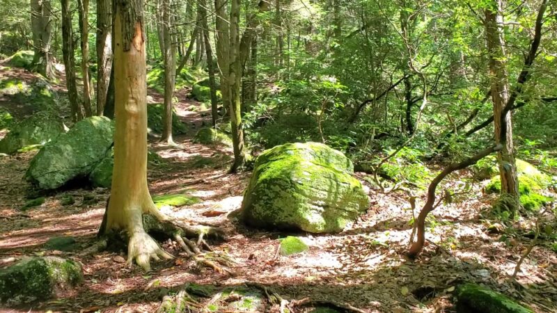 Buttermilk Falls - Plymouth, CT