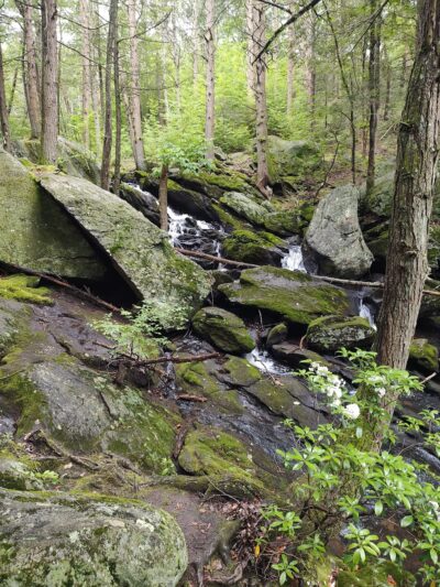Buttermilk Falls - Plymouth, CT