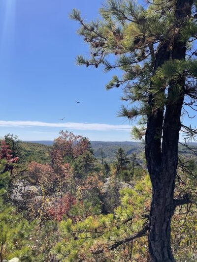 Whitestone Cliffs Trail - Plymouth, CT