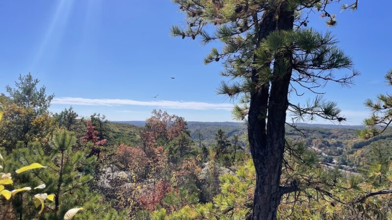 Whitestone Cliffs Trail - Plymouth, CT