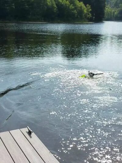 Plymouth Reservoir - Plymouth, CT