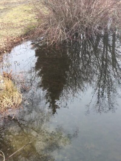 Hedges Pond Recreational Area and Preserve - Plymouth, MA