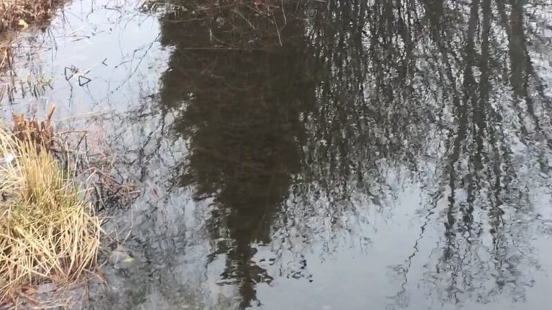 Hedges Pond Recreational Area and Preserve - Plymouth, MA