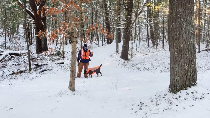 Hedges Pond Recreational Area and Preserve - Plymouth, MA