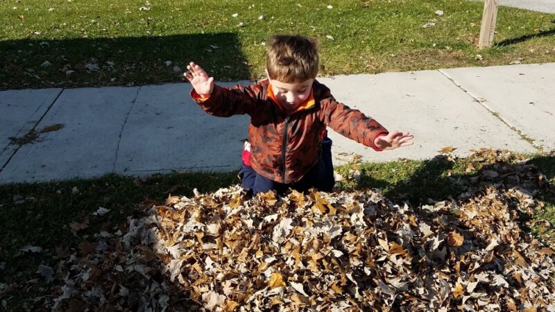 Lone Oak Park - Plymouth, WI