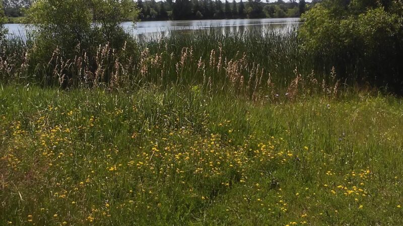 Old Plank Road- Plymouth Trailhead - Plymouth, WI