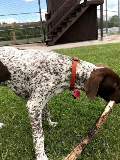 Rotary Park - Plymouth, WI