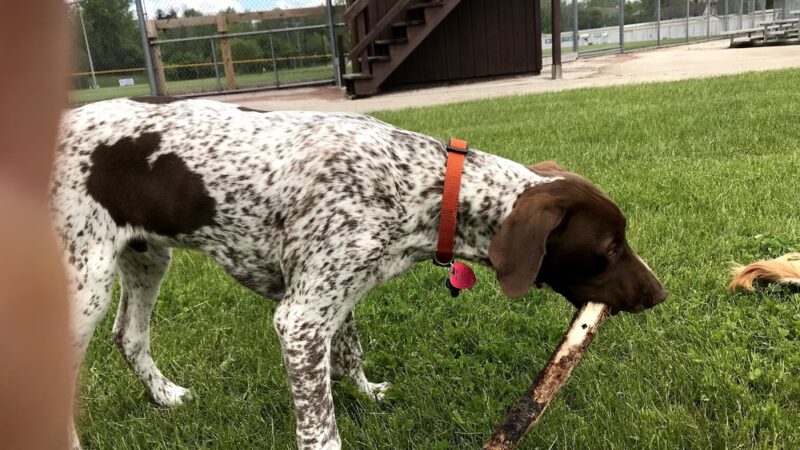 Rotary Park - Plymouth, WI