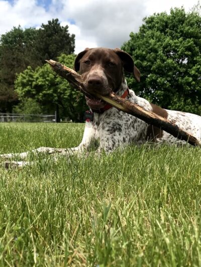 Rotary Park - Plymouth, WI