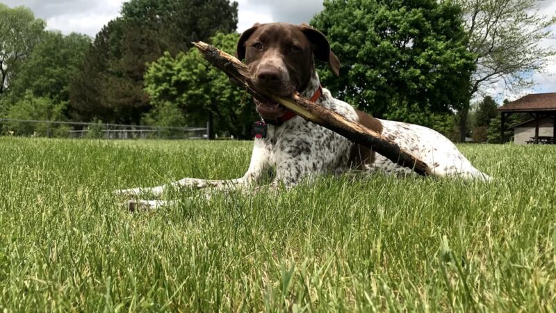 Rotary Park - Plymouth, WI