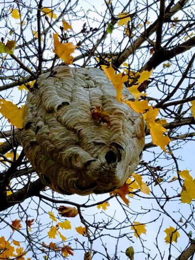 Rotary Park - Plymouth, WI