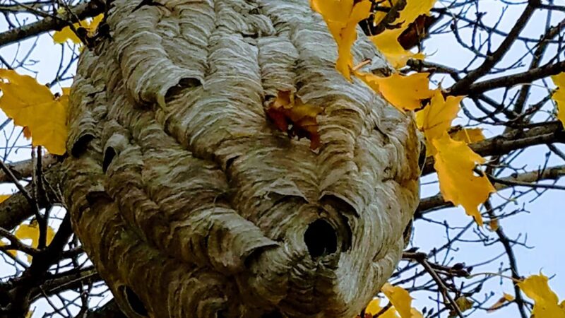 Rotary Park - Plymouth, WI