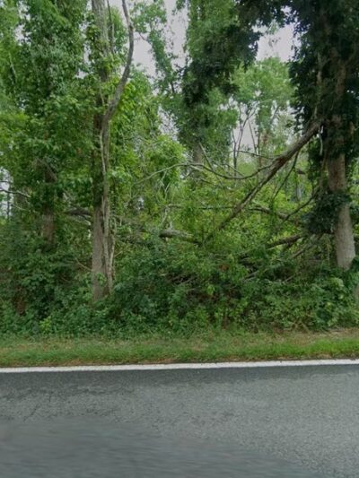 Muppy’s Puppies - Plympton, MA