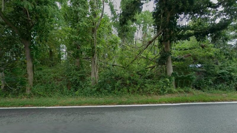 Muppy’s Puppies - Plympton, MA