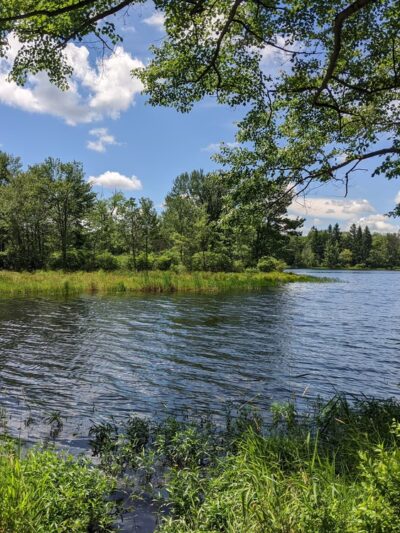 Bradys Pond Trail - Pocono Lake, PA