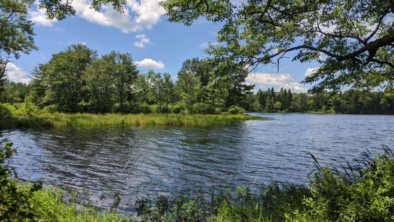 Bradys Pond Trail - Pocono Lake, PA