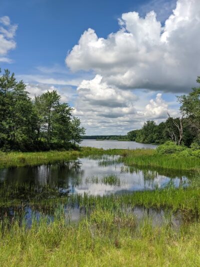 Bradys Pond Trail - Pocono Lake, PA