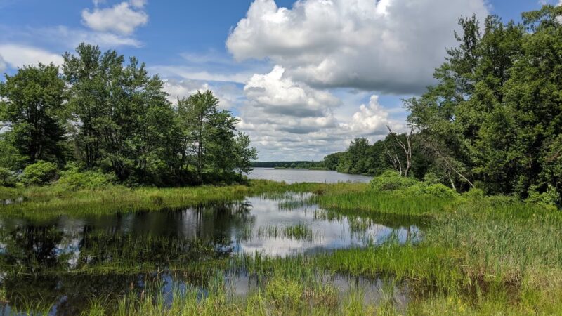Bradys Pond Trail - Pocono Lake, PA