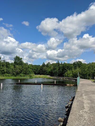 Bradys Pond Trail - Pocono Lake, PA