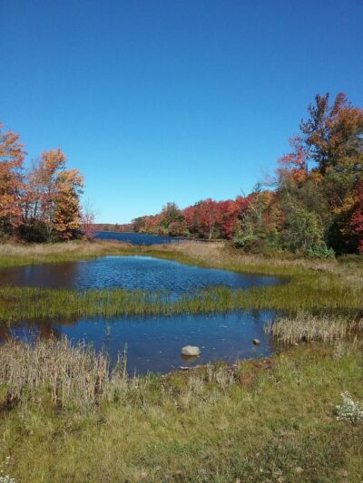 Bradys Pond Trail - Pocono Lake, PA