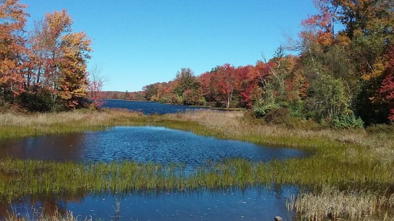 Bradys Pond Trail - Pocono Lake, PA