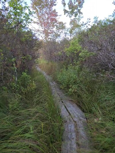 Thomas Darling Preserve at Two-Mile Run - Pocono Lake, PA