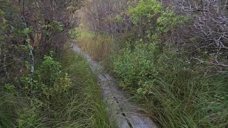 Thomas Darling Preserve at Two-Mile Run - Pocono Lake, PA