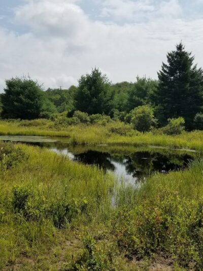 Thomas Darling Preserve at Two-Mile Run - Pocono Lake, PA