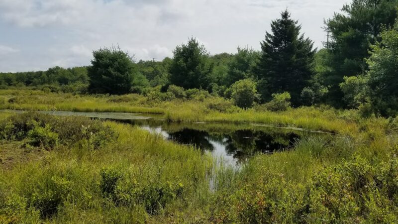 Thomas Darling Preserve at Two-Mile Run - Pocono Lake, PA