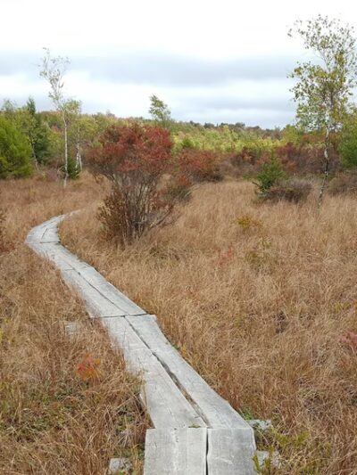 Thomas Darling Preserve at Two-Mile Run - Pocono Lake, PA